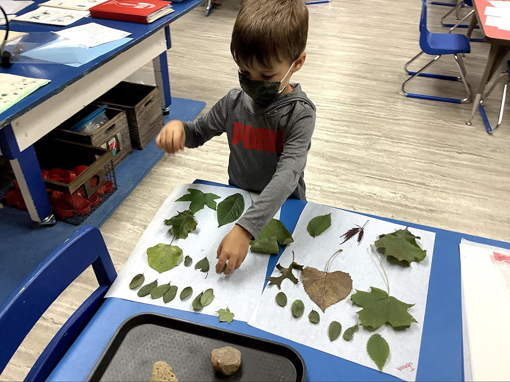 Transitional Kindergarten Transitional Kindergarten